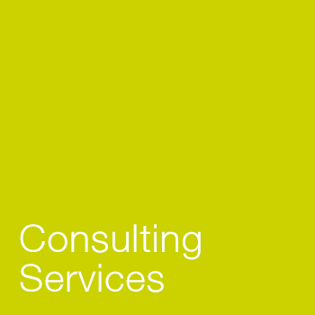 Consulting Services